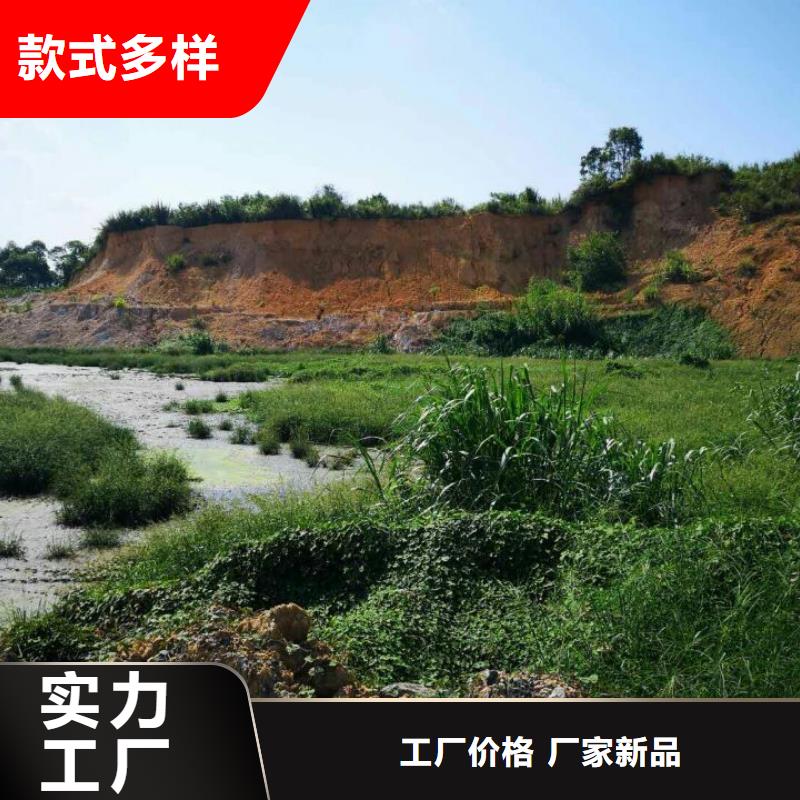 污泥处理,生物酶土壤固化剂诚信厂家