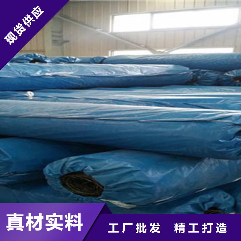 【双向塑料格栅】-膨润土防水毯好货直供