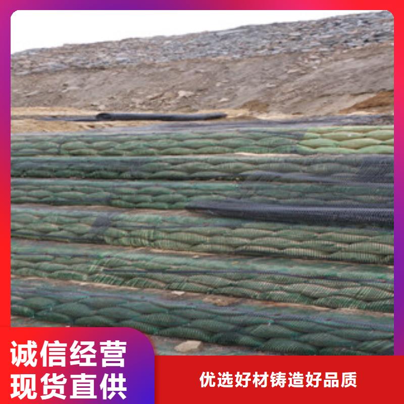 单向塑料格栅钢塑土工格栅敢与同行比质量