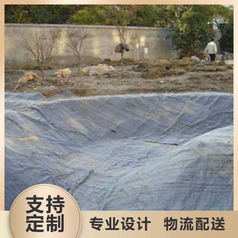 膨润土防水毯钢塑土工格栅多种工艺