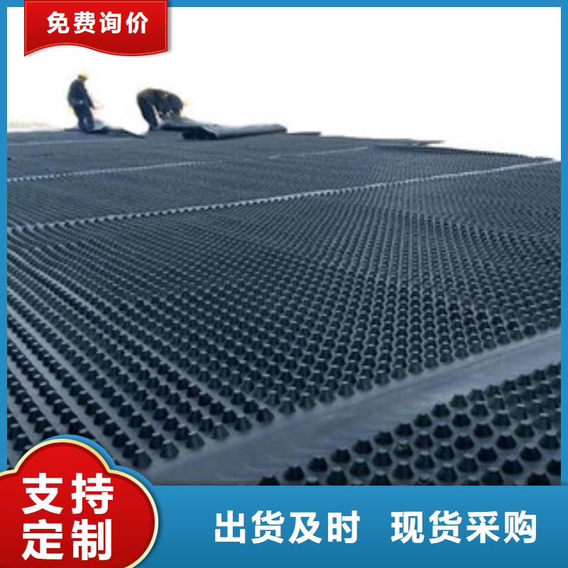 塑料排水板虹吸排水板土工网用心制作