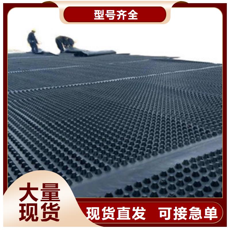 塑料排水板,屋顶绿化排水板土工布好品质选我们