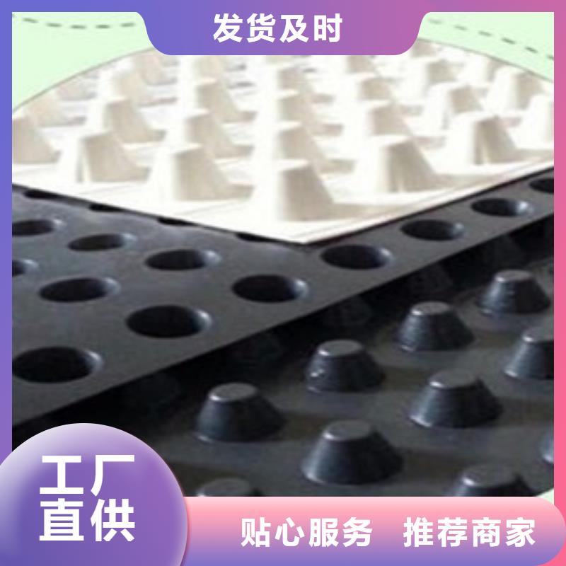 塑料排水板-绿色HDPE蓄排水防水保护板产品参数