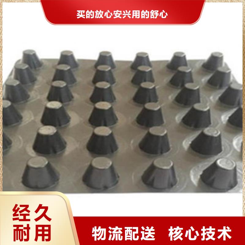 塑料排水板疏水滤水板凹凸型蓄水板一致好评产品