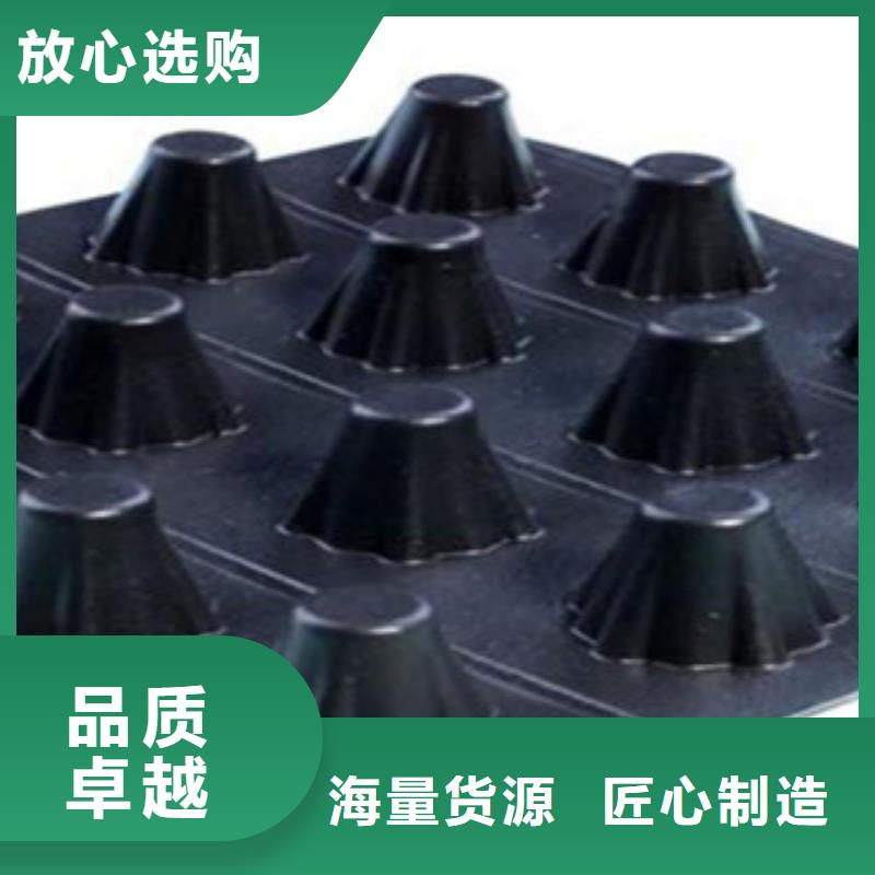 塑料排水板绿色HDPE蓄排水防水保护板就近发货