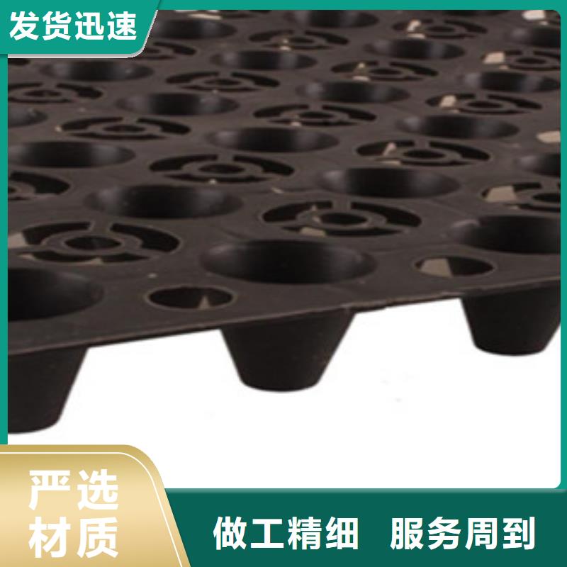 塑料排水板虹吸排水PVC毛细排水板厂家现货批发