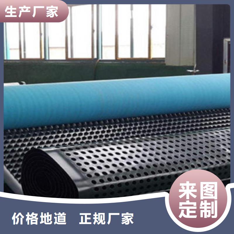 塑料排水板HDPE隧道排水板卷材20高闪电发货