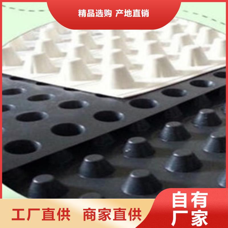 塑料排水板,屋顶绿化排水板土工布好品质选我们