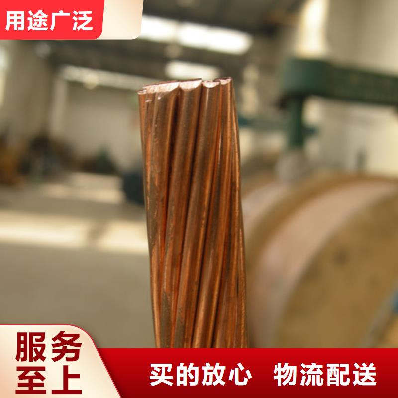 辰昌盛通铜绞线铜绞线 紫铜排专业完善售后cg39.com