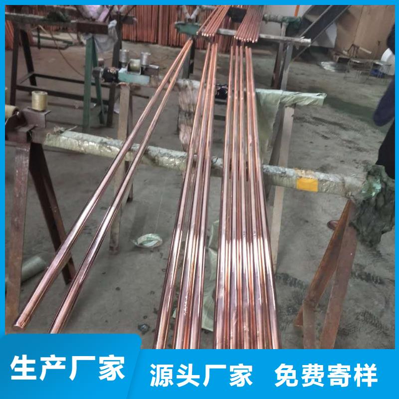 辰昌盛通铜绞线铜绞线 紫铜排专业完善售后cg39.com