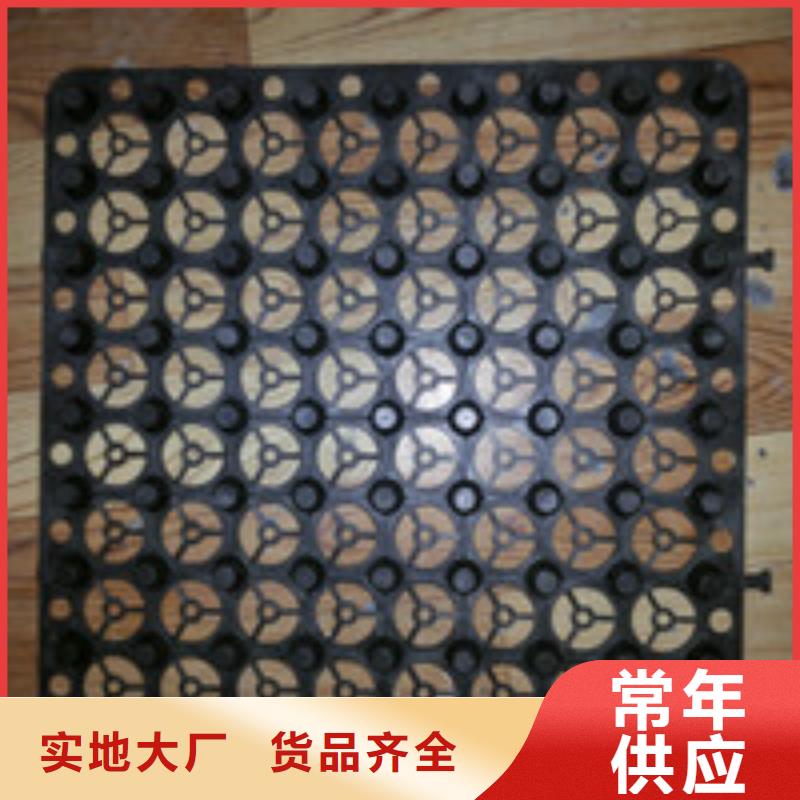 枣庄|烟台|济宁|济南012_【排水板】实体厂家-泰驰排水板生产厂家(山东省分公司)