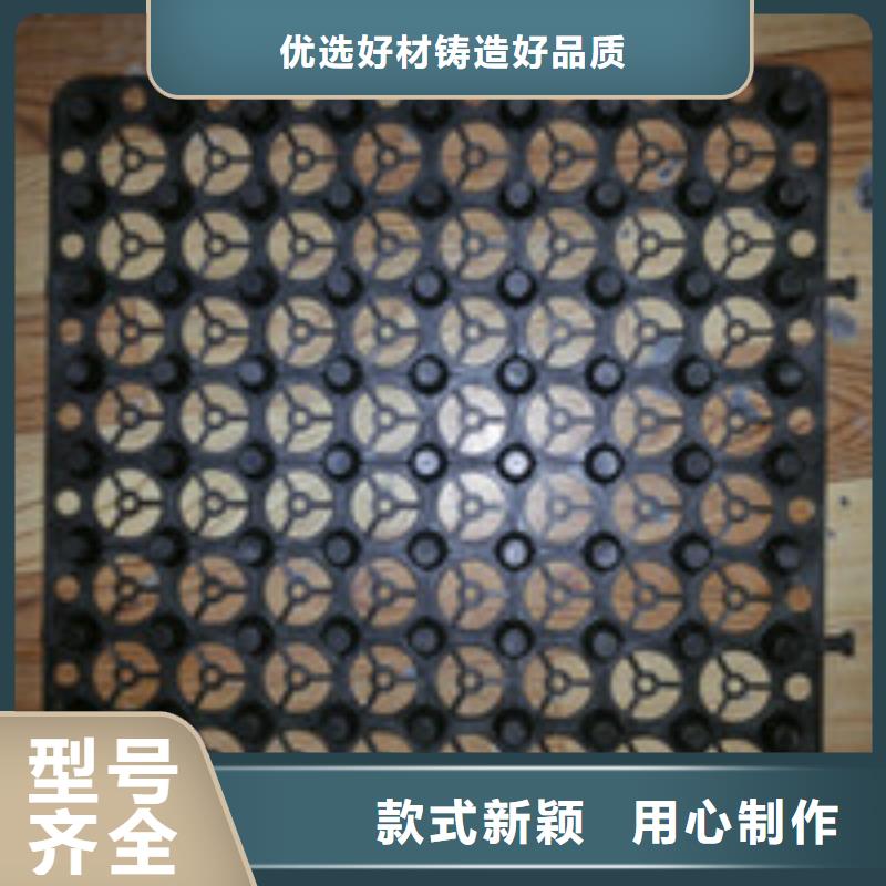 012_【排水板】实体厂家同城品牌