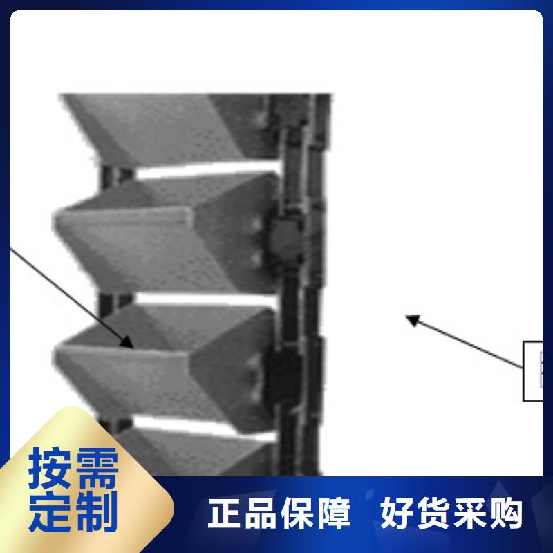 提升机斗式提升机满足客户需求