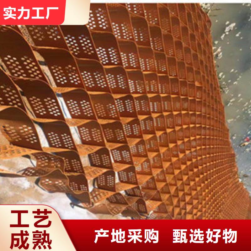 蜂巢格室玻纤格栅丰富的行业经验