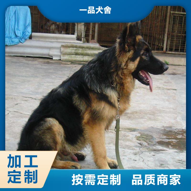 德国牧羊犬卡斯罗犬款式多样