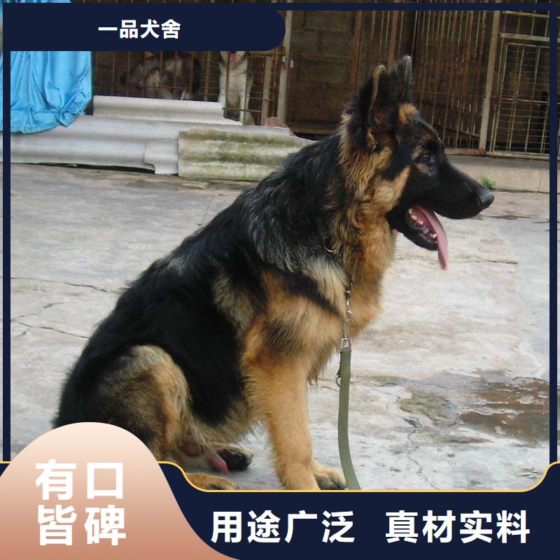 【德国牧羊犬】-拉布拉多犬生产厂家