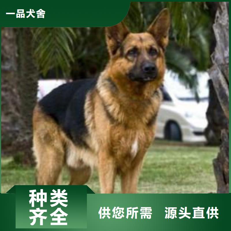 德国牧羊犬,罗威纳犬用好材做好产品