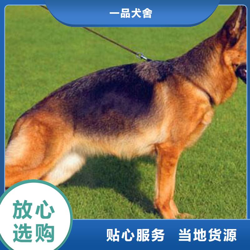 德国牧羊犬【罗威纳犬】值得信赖