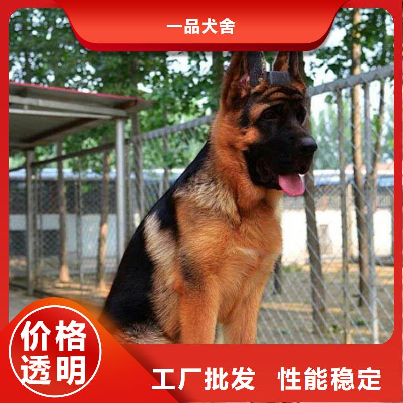 德国牧羊犬,罗威纳犬用好材做好产品