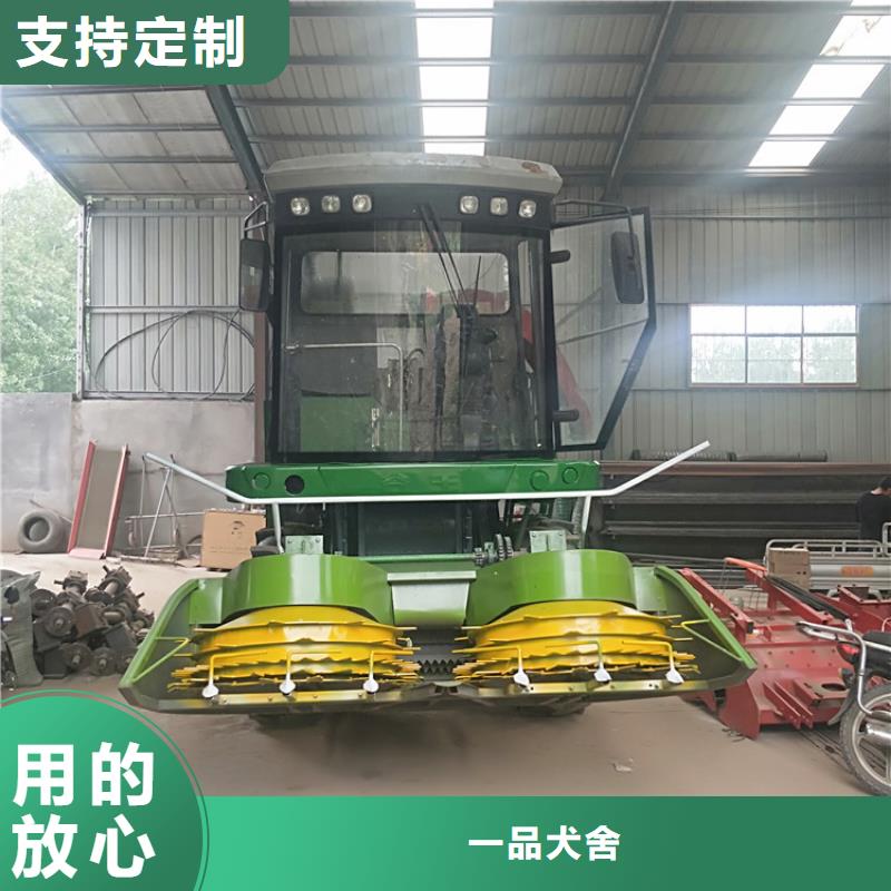 青储机杜高犬价格实惠