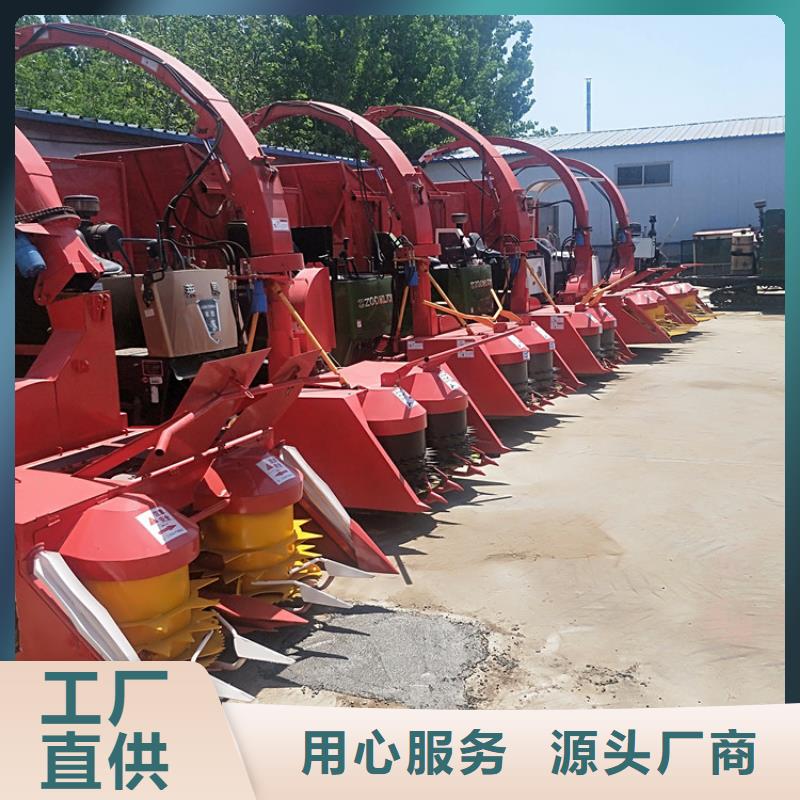 青储机杜高犬价格实惠