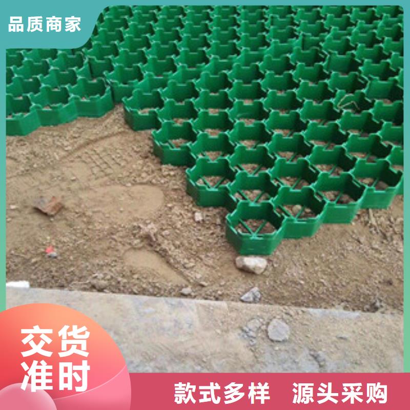 环保植草格土工膜厂家规格齐全实力厂家