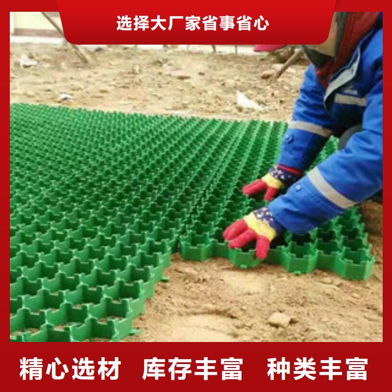 环保植草格【土工布厂家】厂家直销规格多样