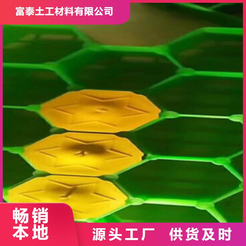 环保植草格排水板厂家经验丰富品质可靠