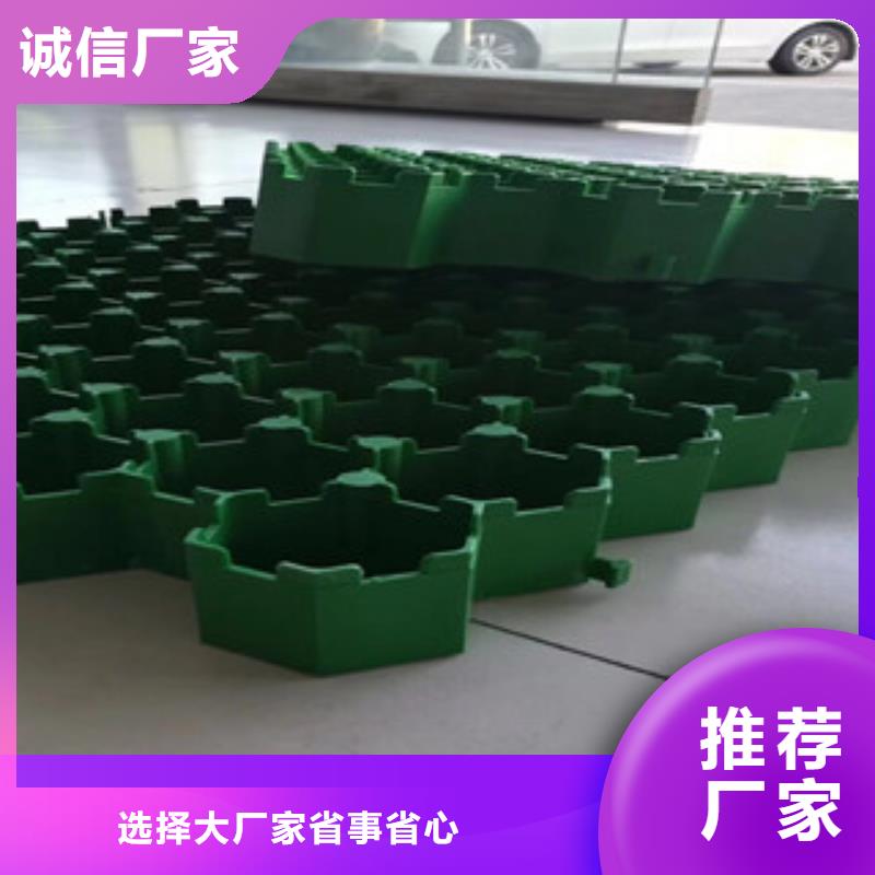 【植草格土工布厂家每一处都是匠心制作】