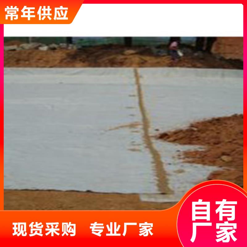 防水毯土工布厂家型号全价格低