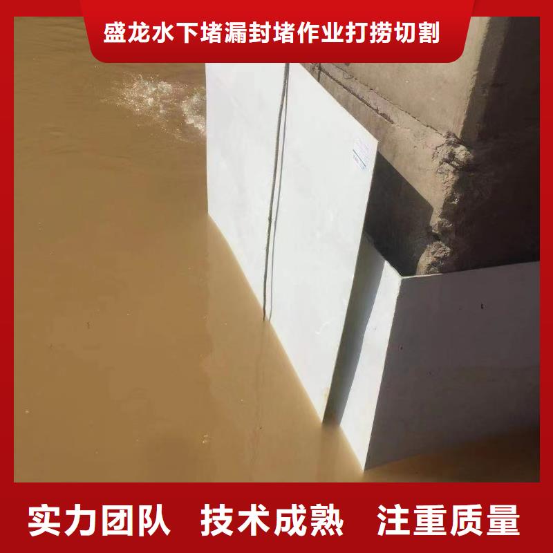污水处理厂水下打捞款式齐全