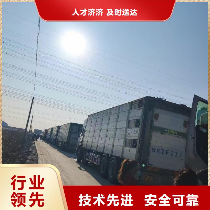 宿迁到牲畜运输天天发车