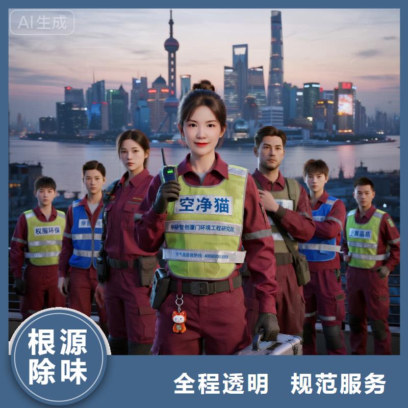 全国直营上门除甲醛检测治理品牌空净猫除甲醛-金华市武义县白姆乡 上门除甲醛检测治理公司 空净猫全国直营诚信服务