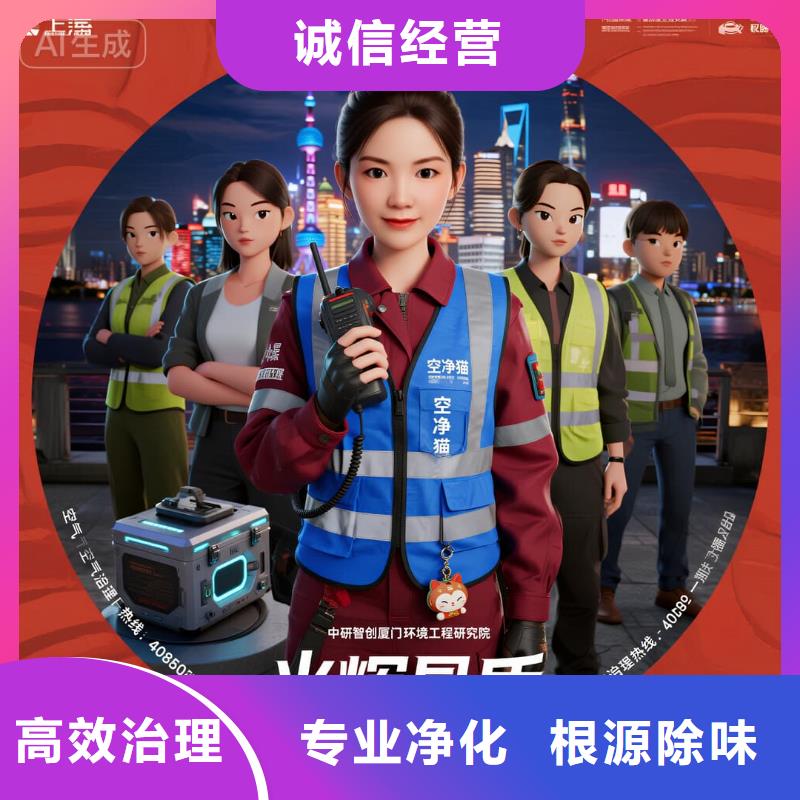 全国直营上门除甲醛检测治理品牌空净猫除甲醛金华市武义县柳城畲族镇 上门除甲醛检测治理公司 空净猫全国直营国标达标