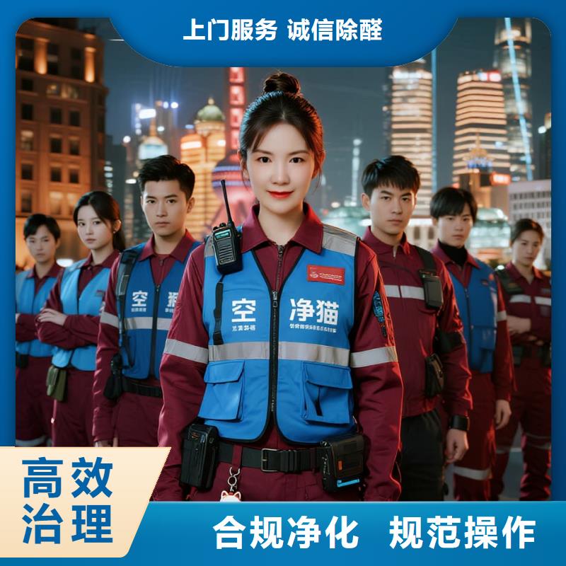 全国直营上门除甲醛检测治理品牌空净猫除甲醛绍兴市诸暨市浣东街道浣东商圈 上门除甲醛检测治理公司 空净猫全国直营无害施工