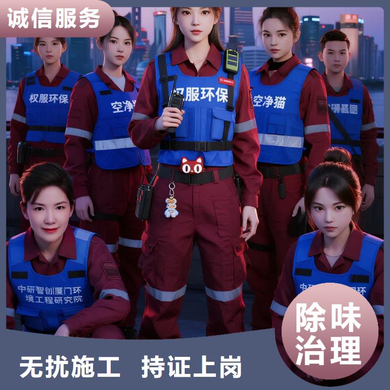 全国直营上门除甲醛检测治理品牌空净猫除甲醛-石家庄市勒泰-平安大街商圈 上门除甲醛检测治理公司 空净猫全国直营全程公开