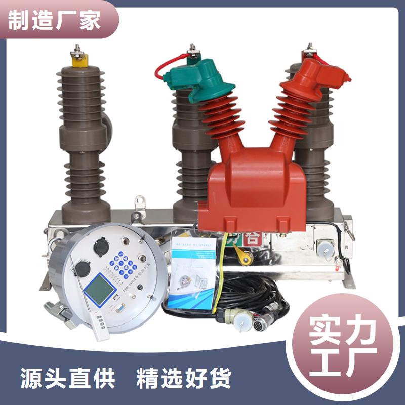 廊坊ZWM9-12永磁真空断路器真空断路器源头厂家