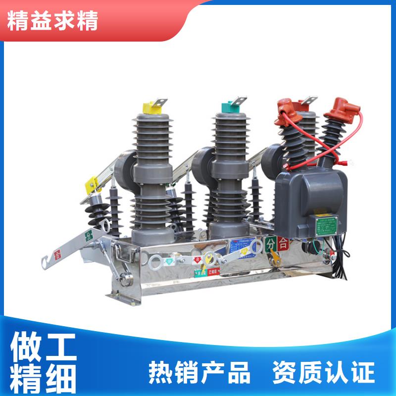 廊坊ZWM9-12永磁真空断路器真空断路器源头厂家