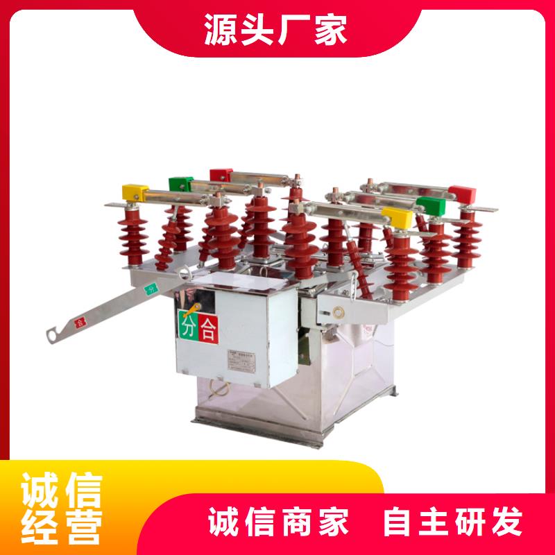 咸宁ZW7-35/630-31.5真空断路器质量支持定制规格齐全真空断路器