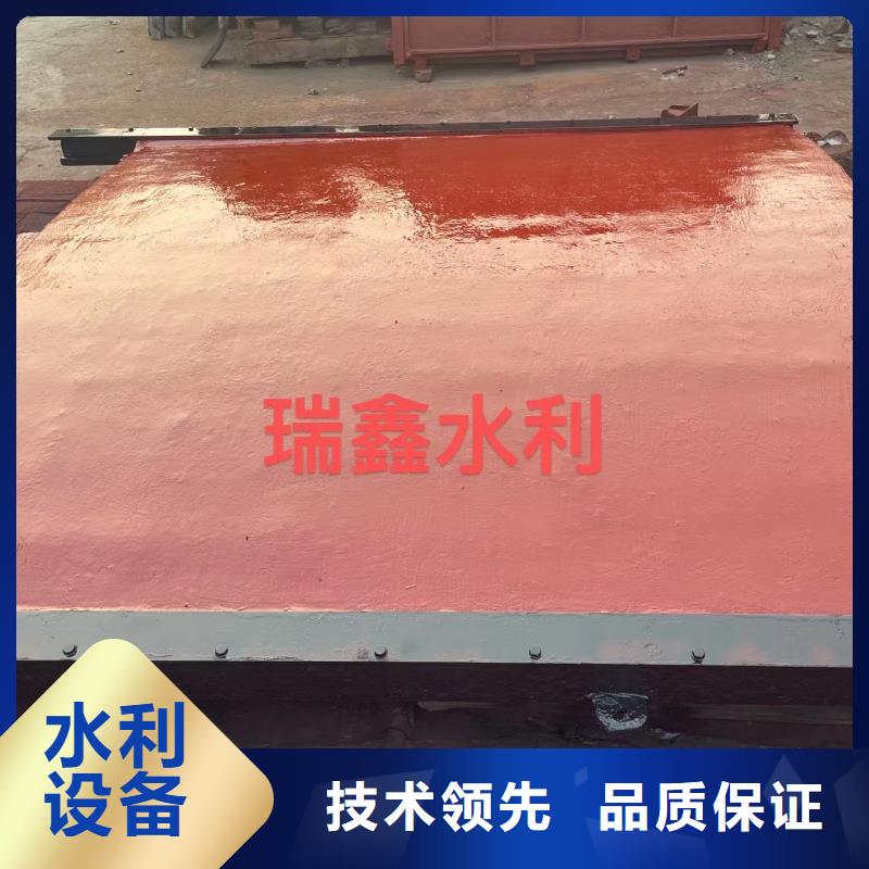 邯郸水利水电铸铁镶铜闸门产研一体