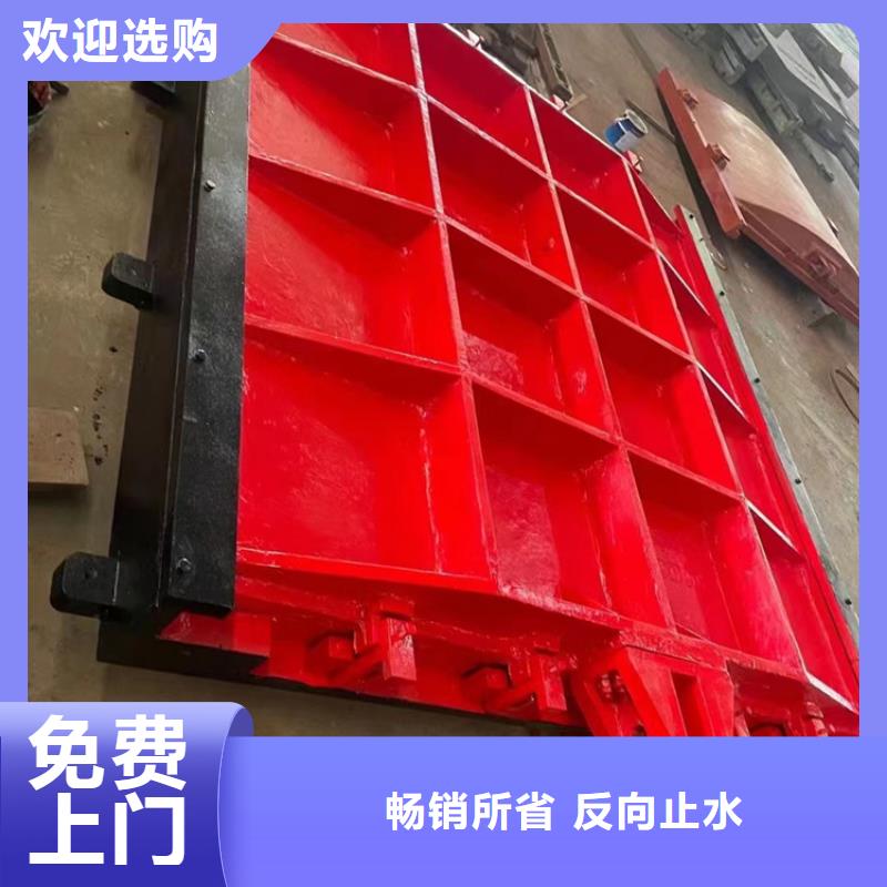 北海水库平面铸铁闸门品质保证