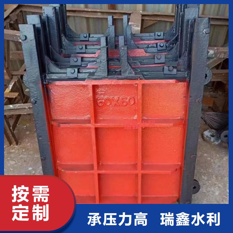 绵阳市政建设机闸一体闸门免费上门