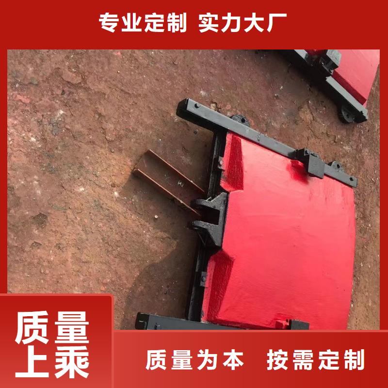 江苏水产养殖河道铸铁闸门正向止水