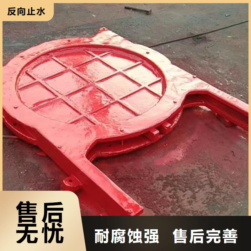湖北水闸高压铸铁闸门客户信赖