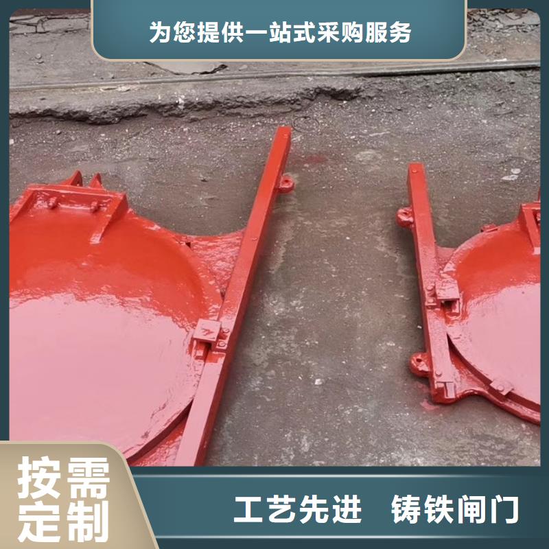 江苏水产养殖河道铸铁闸门正向止水