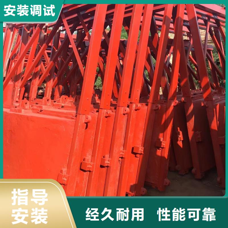 江苏水产养殖河道铸铁闸门正向止水