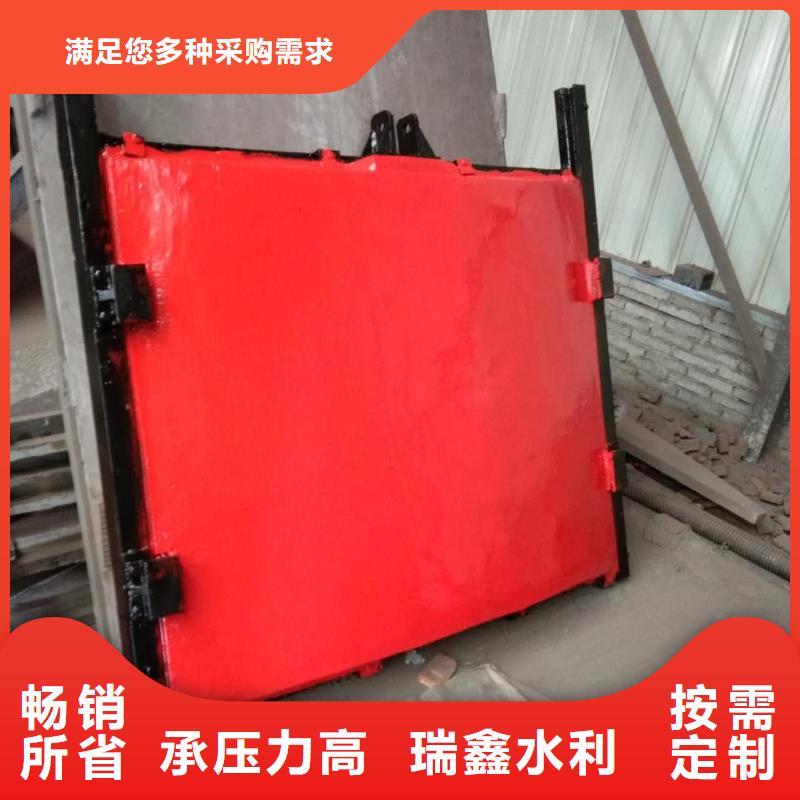 江苏水产养殖河道铸铁闸门正向止水