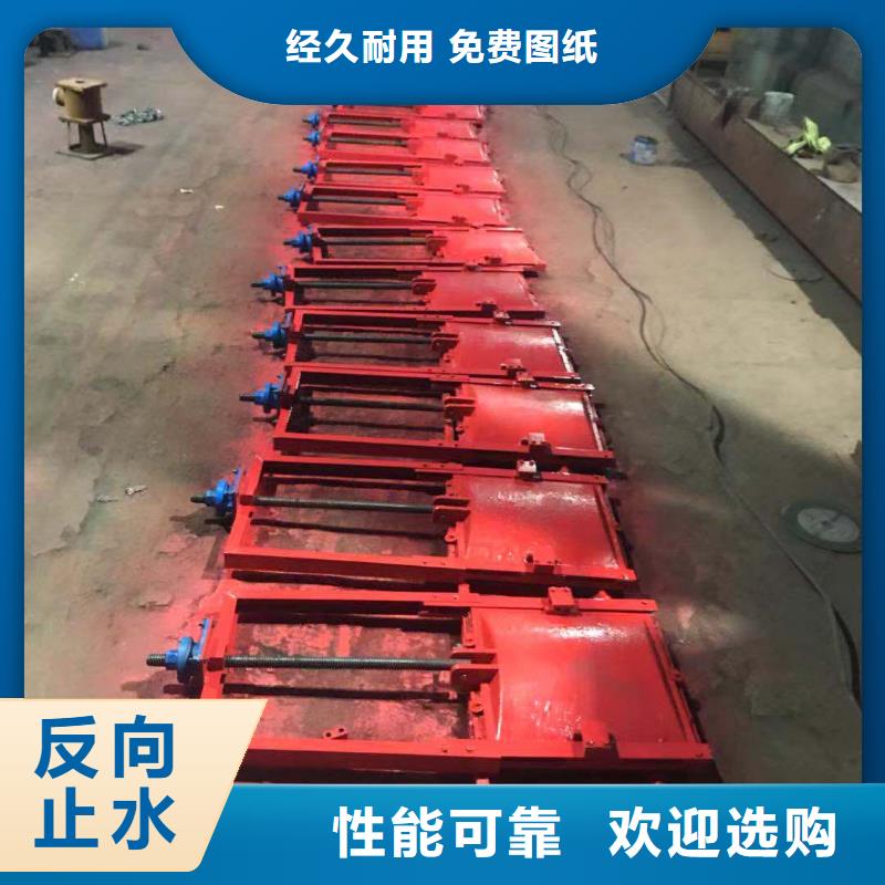 海南水库机闸一体闸门技术领先
