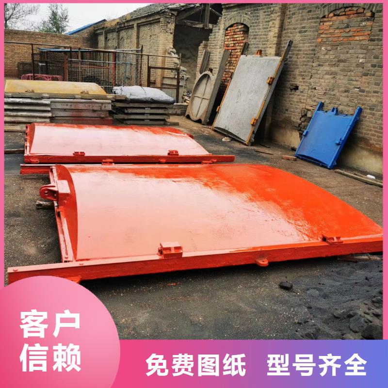 绍兴水产养殖暗杆式铸铁镶铜闸门反向止水