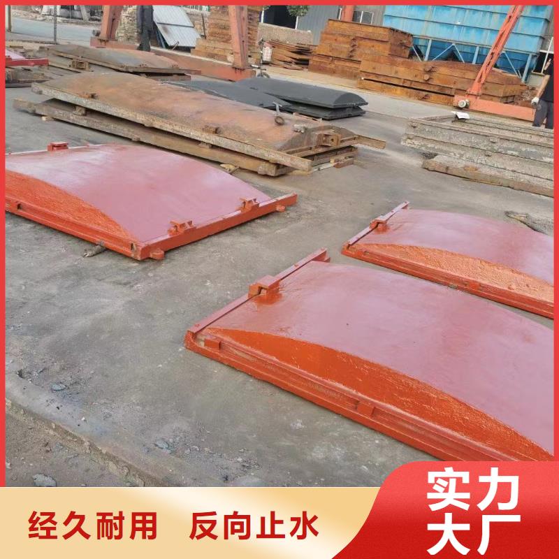 邯郸水利水电铸铁镶铜闸门产研一体